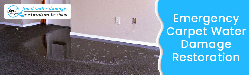 Emergency Carpet Water Damage Restoration Brisbane