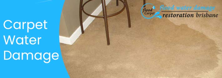 Carpet Water Damage