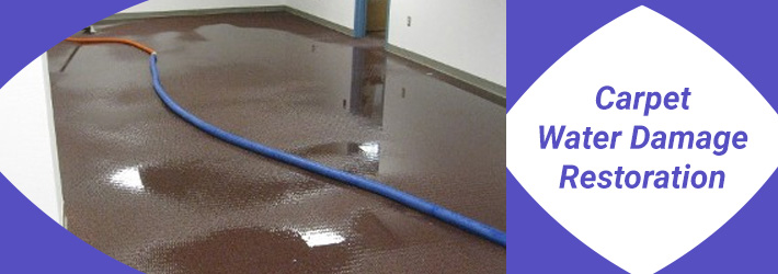 Carpet Water Damage Restoration