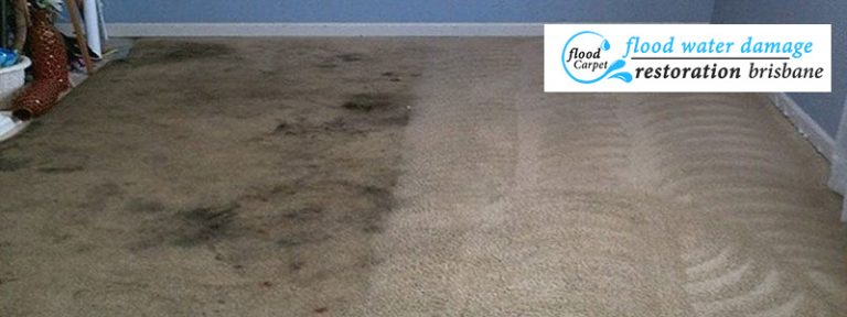 Clean Flood Damaged Carpets