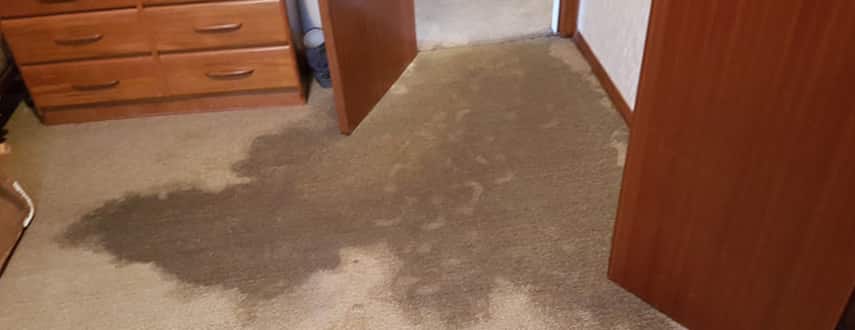 water damage carpet drying brisbane